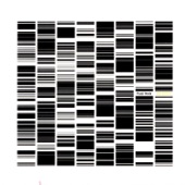 Ryoji Ikeda - Test Pattern #1111