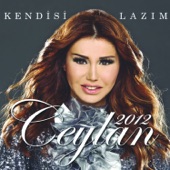 Ceylan 2012 - Kendisi Lazım artwork