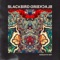 Treehouse - Blackbird Blackbird lyrics