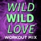 Wild Wild Love (feat. Jazmine) - DJ DMX lyrics