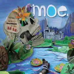 What Happened to the La La's - moe.
