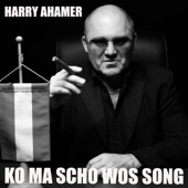 Ko ma scho wos song artwork