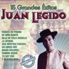 15 Grandes Éxitos Juan Legido, 2013