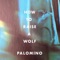 Sam Stone - Palomino lyrics