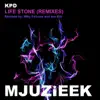 Life Stone (Remixes) - Single album lyrics, reviews, download