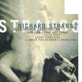 Strauss - Also Sprach Zarathustra artwork