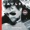 Waylon Jennings - Carnival Song