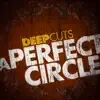 Deep Cuts: A Perfect Circle - EP album lyrics, reviews, download