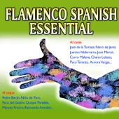 Flamenco Spanish Essential artwork