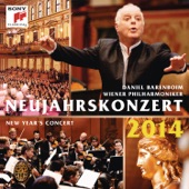 Neujahrskonzert 2014 (New Year's Concert 2014) artwork