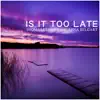 Is It Too Late (Remixes) [feat. Lena Belgart] album lyrics, reviews, download
