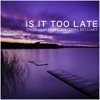 Is It Too Late (Remixes) [feat. Lena Belgart]