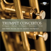 Franz Querfurth Concerto in E-Flat Major for Trumpet & Strings: III. Presto artwork