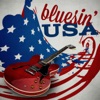 Bluesin' USA