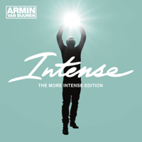 Armin van Buuren - Intense (feat. Miri Ben-Ari) artwork