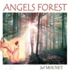 Angels Forest, 2015
