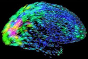 “Crowdsourcing a Neuroscience Revolution” — Podcast 10: Sebastian Seung