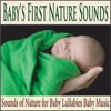 Baby's First Nature Sounds: Sounds of Nature for Baby Lullabies Baby Music