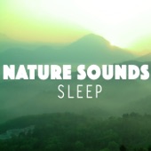 Nature Sounds Sleep artwork