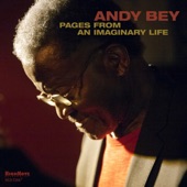 Andy Bey - Everything I Have Is Yours