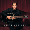 The Hits Collection: Steve Wariner - Steve Wariner