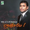 Ta'mil - Santhosha kanneere (From "Uyire")