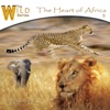 The Heart of Africa, Vol. 9
