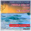 Pebble Beach with Sea Birds: Natural Sounds of Nature album lyrics, reviews, download