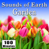 Sounds of Earth: Garden - Acme Phone Company