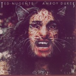 Ted Nugent's Amboy Dukes - Hibernation