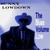 Sunny Lowdown - Red Devil Blues