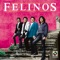 Abrázame (Hold Me Tight) - Felinos lyrics