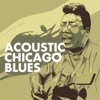 Acoustic Chicago Blues