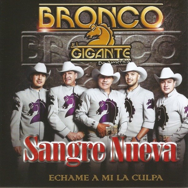 Bronco - Libros Tontos