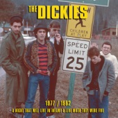 The Dickies - Nights in White Satin (Live 1982)