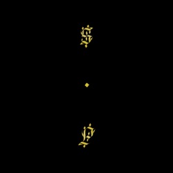 Shabazz Palaces - Are You... Can You... Were You? (Felt)