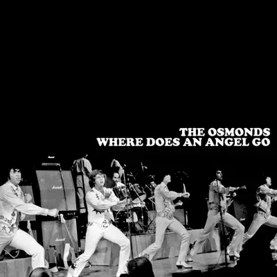 Where Does an Angel Go - The Osmonds Where Does an Angel Go - The Osmonds