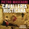 Cavalleria Rusticana: “Mamma, Quel Vino E' Generoso” artwork