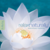 Relax Naturally - Dan Gibson's Solitudes