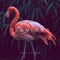 Heavy Steps - Flamingo lyrics