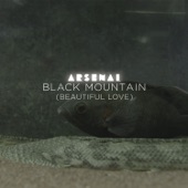Black Mountain (Beautiful Love) [Radio Edit] artwork