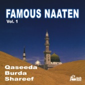 Famous Naaten, Vol. 1 - Islamic Naats artwork