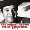 Miguel Aceves Mejía - Tu Sólo Tú