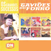 Os Grandes Sucessos - Gaviões do Forró