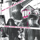 Cabaret Voltaire - Damage Is Done