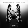 Going Down - Single