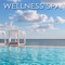 Wellness Spa - Wellness lyrics