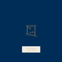 Another Language - This Will Destroy You Another Language - This Will Destroy You
