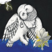The Old Black Hen (Demo) artwork