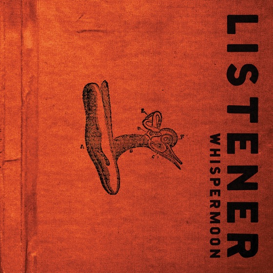 Cover artwork for FYI